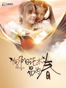 向阳花木易为春 - 第101集完结_情景解析_沐风影影-剧透网